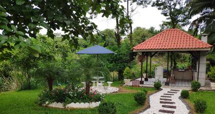 PARAISO URBANA more linpa house in the city