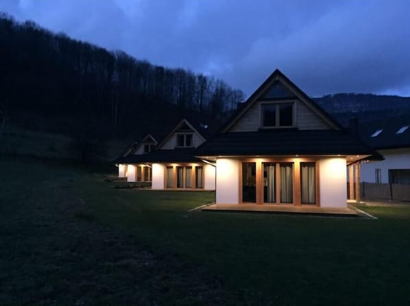 Connected homes with pitched roofs and a serene natural setting.