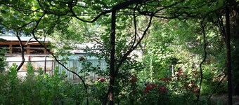 Guest House Besarioni (Guest house), Borjomi (Georgia) deals