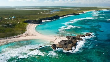 Playa en los alrededores, camastros y toallas de playa