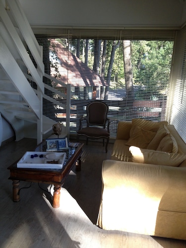 Individual pavilion located in the pine forest