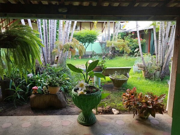 A covered outdoor area with various potted plants and a small garden.