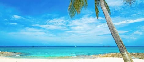Am Strand