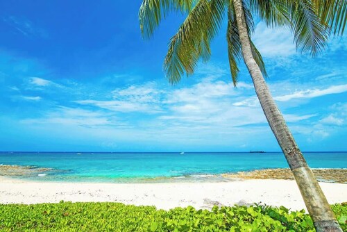 Oceanfront 2 BR & Pool - Cocoplum #5 on 7 Mile