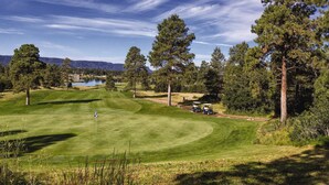 A golf course with a flag, trees, and a lake in the background.