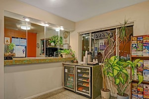Una zona de recepción con mostrador, refrigerador, planta en maceta y ventana con vistas al exterior.