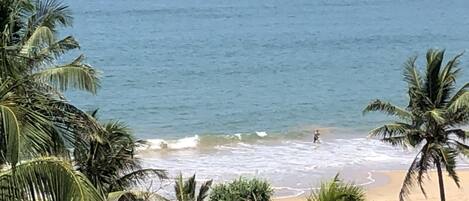 على الشاطئ، مناشف للشاطئ