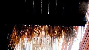 Una escalera de madera con techo de paja, que lleva a una habitación con puerta y contraventanas de madera.