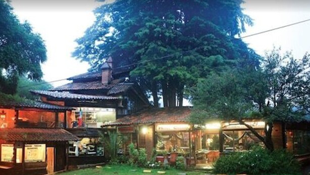 Un edificio tradicional japonés con tejado de tejas y estructura de madera, rodeado de abundante vegetación y un sendero de piedra.