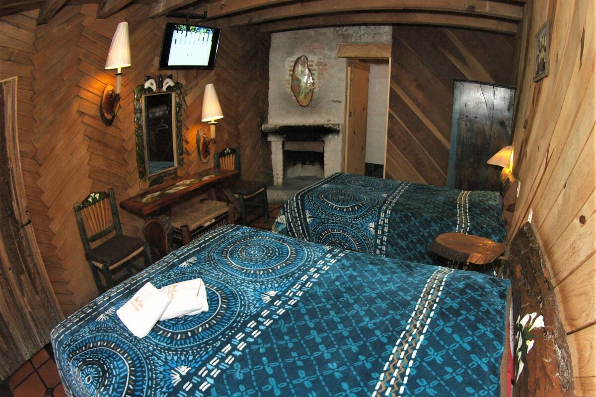 Une chambre avec deux lits, une cheminée, un téléviseur et des murs en bois.