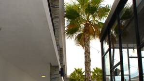 Un espace extérieur abrité comprenant une piscine, des palmiers et des sièges.