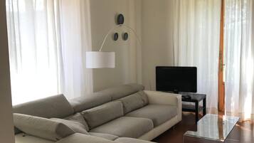 Smart TV, fireplace, books