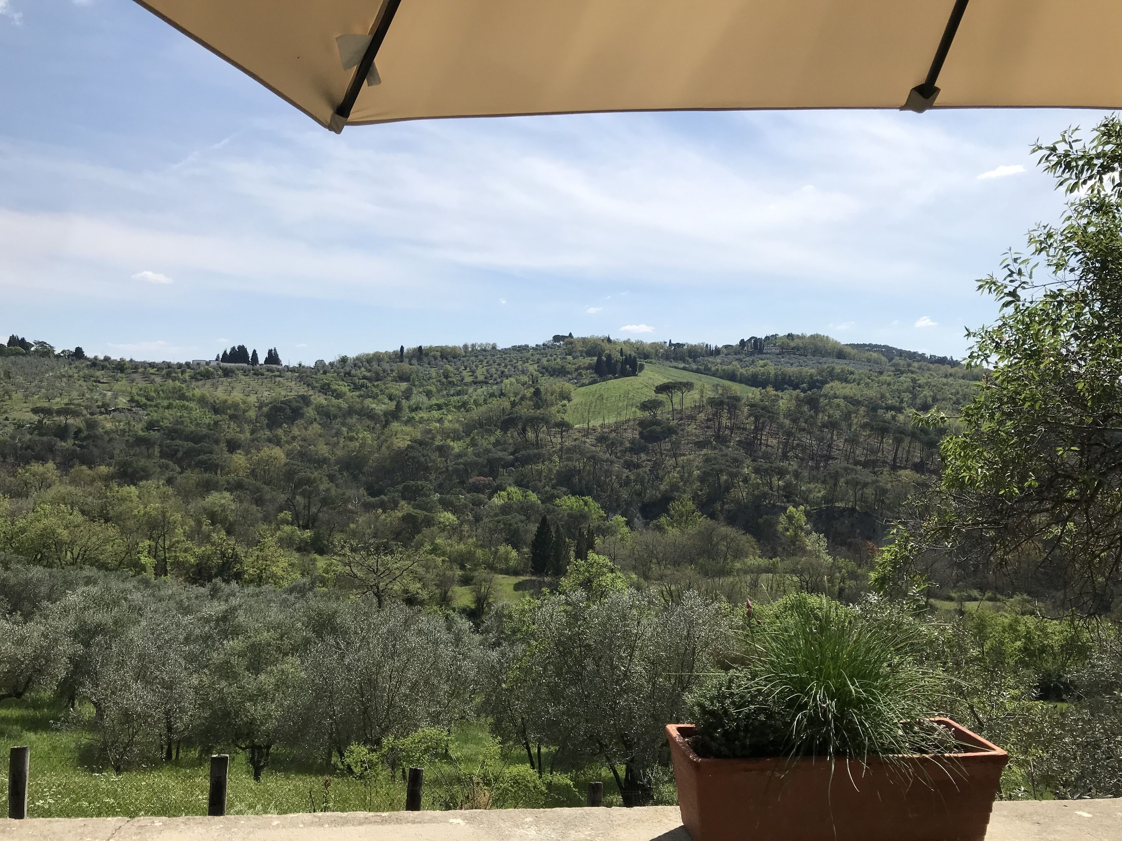 Une terrasse offrant une vue sur des collines verdoyantes et agrémentée d’une plante en pot.
