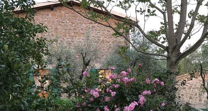 Chiantishire einen Schritt von Florenz entfernt