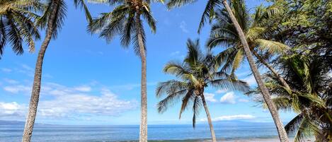 Playa en los alrededores