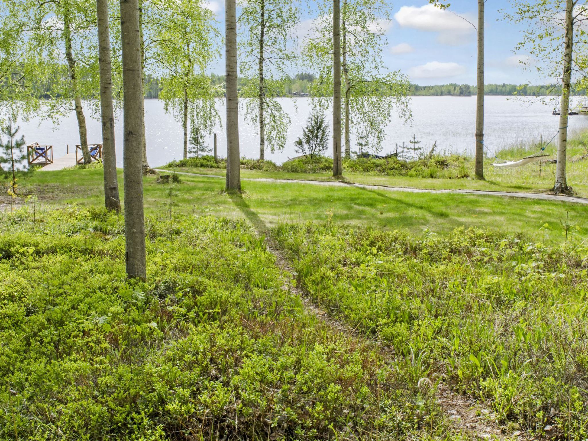 Un paysage naturel comprenant un lac, des arbres et une zone herbeuse avec un sentier menant à un quai.
