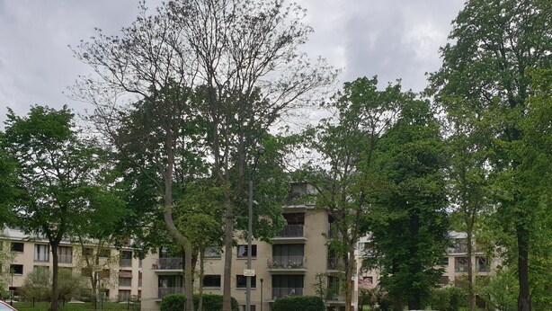 Un quartier résidentiel avec des immeubles d’appartements, une clôture blanche et des voitures garées.