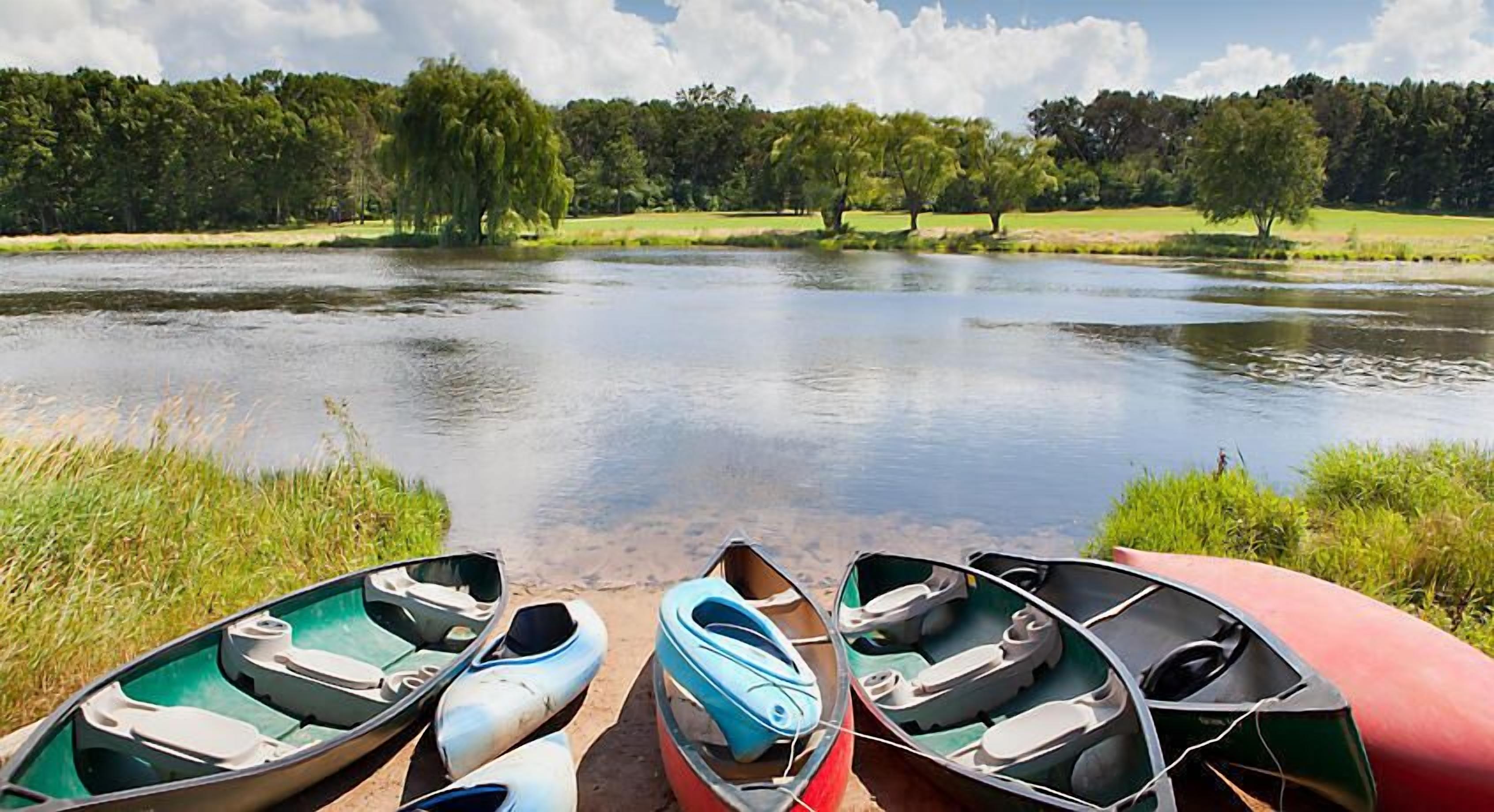 A row of canoes lined up at the edge of a calm lake with a grassy bank and trees in the background.