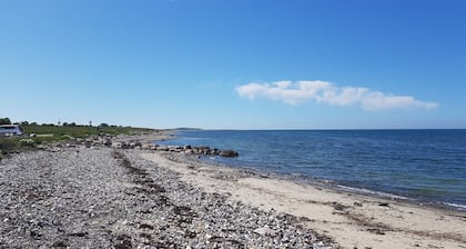 Appartement au rez-de-chaussée baigné de soleil sur la digue avec un chien, pour le surf