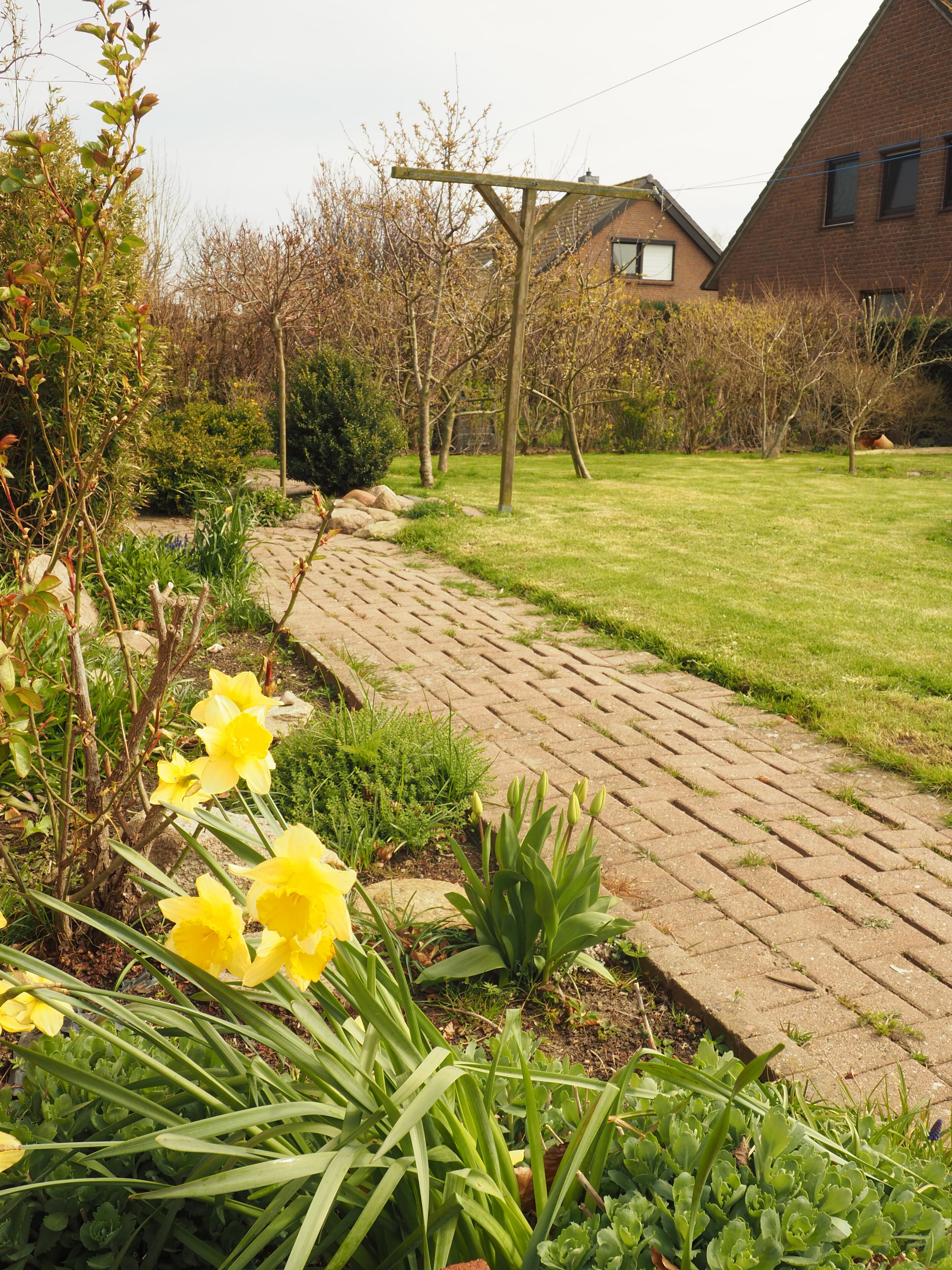 der Garten im Frühjahr