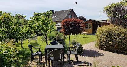 Aurinko kylvetty pohjakerroksen huoneisto ojaan koiran kanssa, surffausta varten