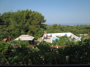 A villa with a pool, surrounded by lush greenery and a view of the sea.