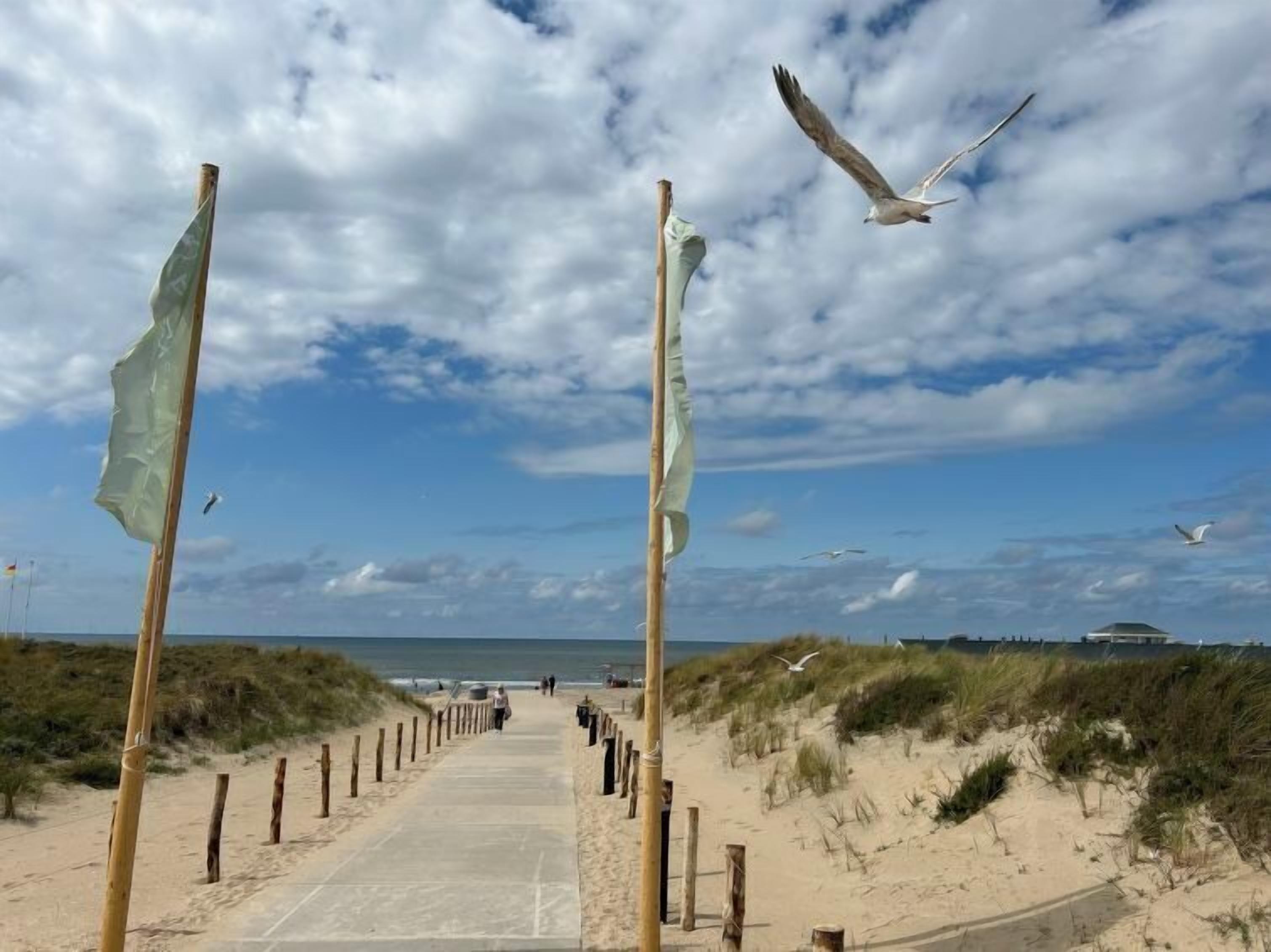 Ein Promenadweg am Strand mit Holzpfählen und blauem Himmel.