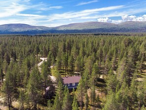 A remote cabin surrounded by dense forest with a clear sky.