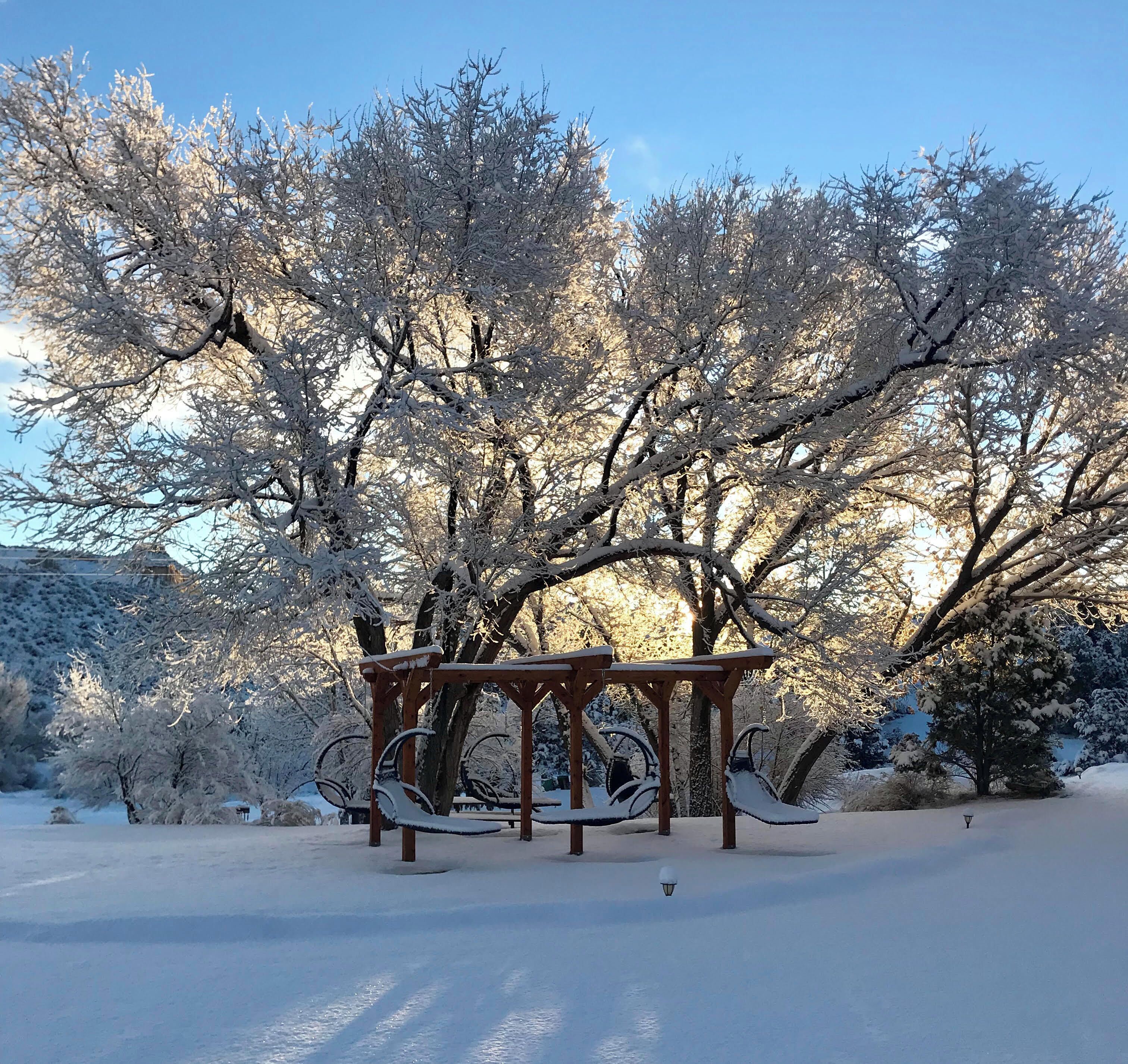 A wooden gazebo in a snowy park with bare trees around it.