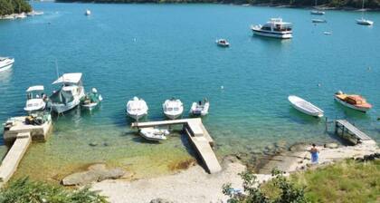 Ferienwohnung Ulika by Interhome