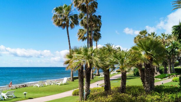 Blick auf einen Strand mit Palmen, einem Pfad und weißen Liegestühlen.