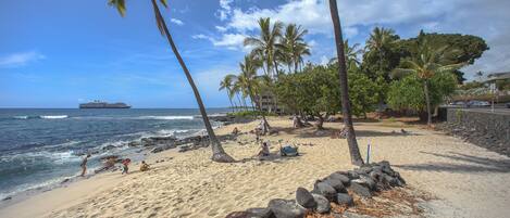 ビーチの近く、サンラウンジャー、ビーチタオル