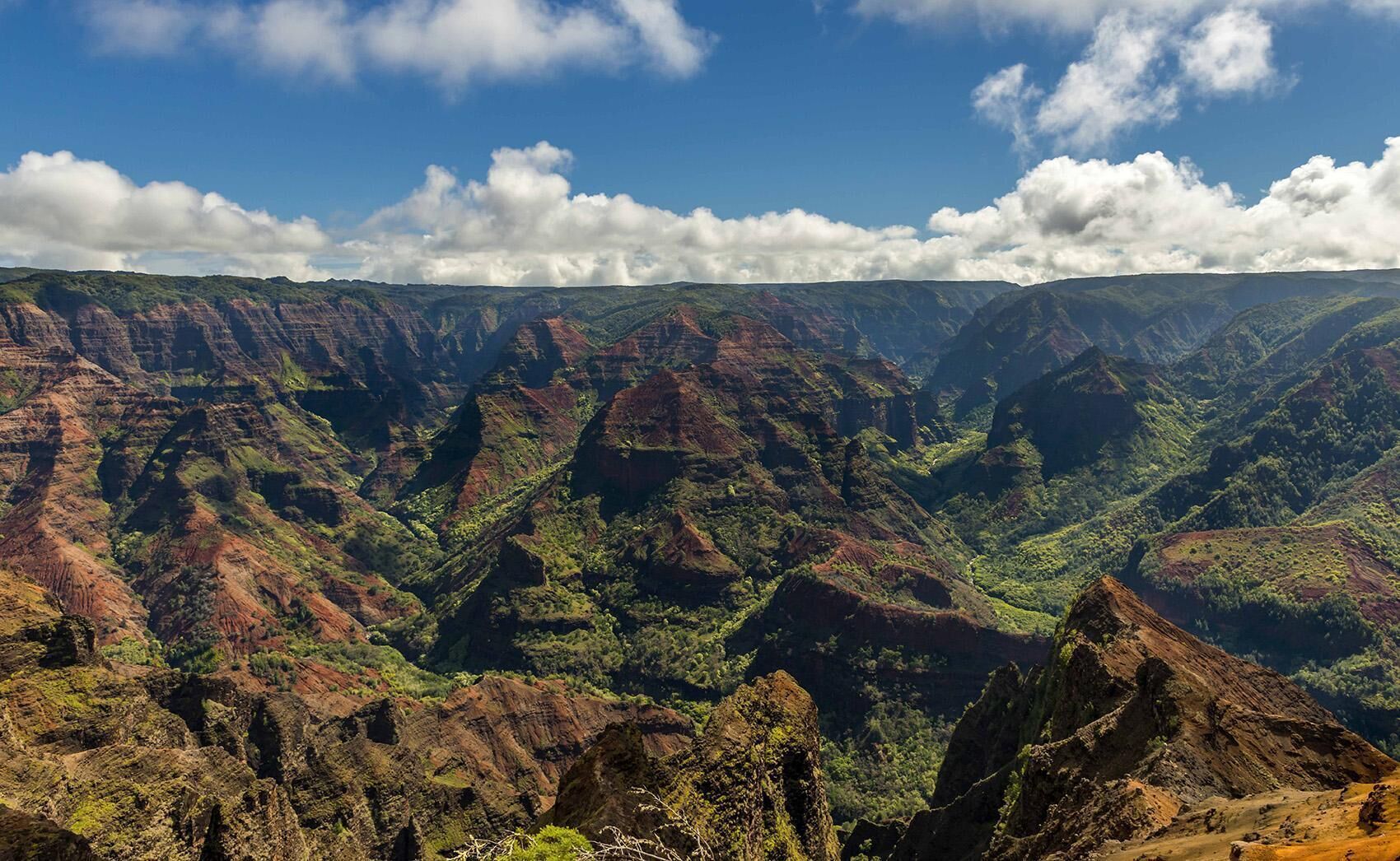 Une vue panoramique d'un canyon aux reliefs accidentés et à la végétation luxuriante.
