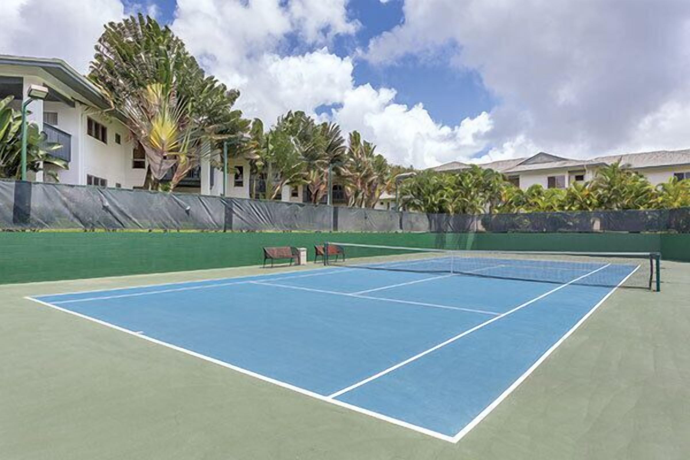 Una cancha de tenis con red, rodeada por una cerca verde y palmeras.