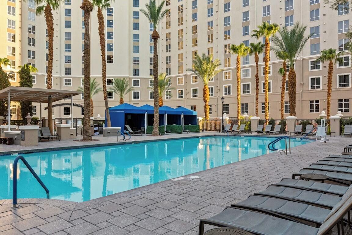 A hotel pool area with a clear pool, lounge chairs, and palm trees.