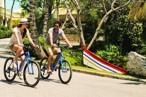 Miscellaneous - Excellence Playa Mujures (Q.R.)