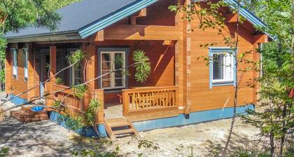 Pihlajapelto by Interhome