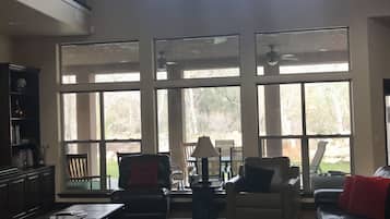 Smart TV, fireplace, books