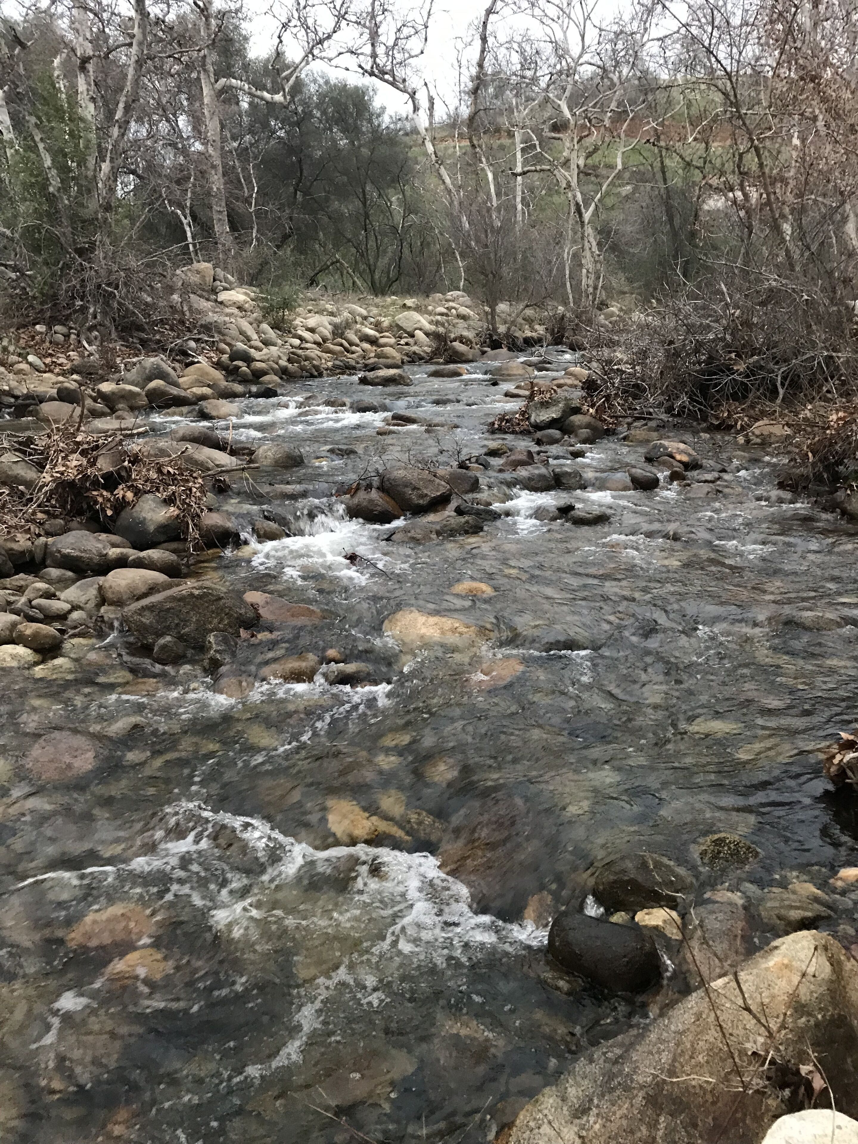 A clear stream with rocks and trees in the background.