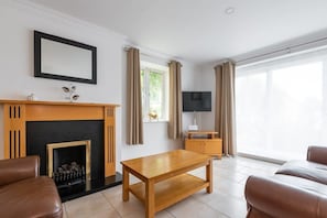 A living room with a fireplace, a television, and a sofa. - Ferncourt Stepaside S (Dublin)