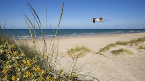 In Strandnähe