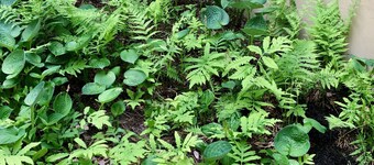 Quiet, comfy guest quarters just three miles from Freeport! And only one unit!