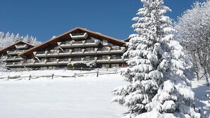 A multi-story building with a wooden facade and balconies, surrounded by snow-covered trees and a clear blue sky. - Centaure by Interhome (Sainte-Croix)