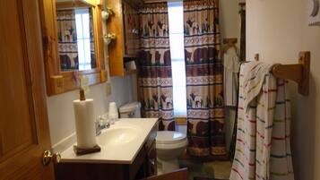 Combined shower/bathtub, hair dryer, towels, soap