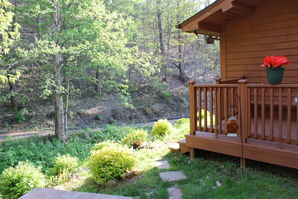 Property grounds - Scenic cabin near Hungry Mother, Mount Rogers, and Grayson Highlands Parks (Marion)
