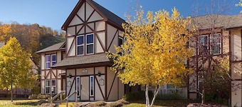 Come Ski at our Boyne Mountain Resort w/ seasonal pool, indoor hot tub, gym & game room