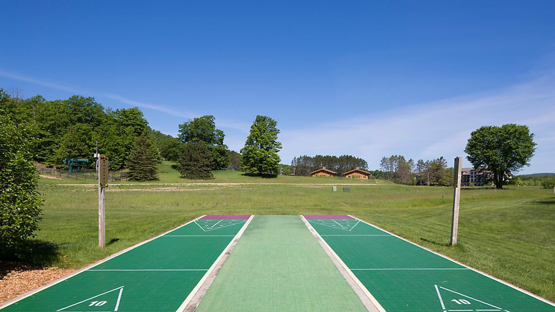 A shuffleboard court with a green surface, surrounded by a grassy field and trees.
