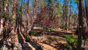 A forested area with a dirt path, rocks, and wooden structures. - *Peaceful getaway *Close to Goldwater Lake *Cabin (Prescott)
