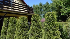 A building with a balcony overlooking dense green trees.
