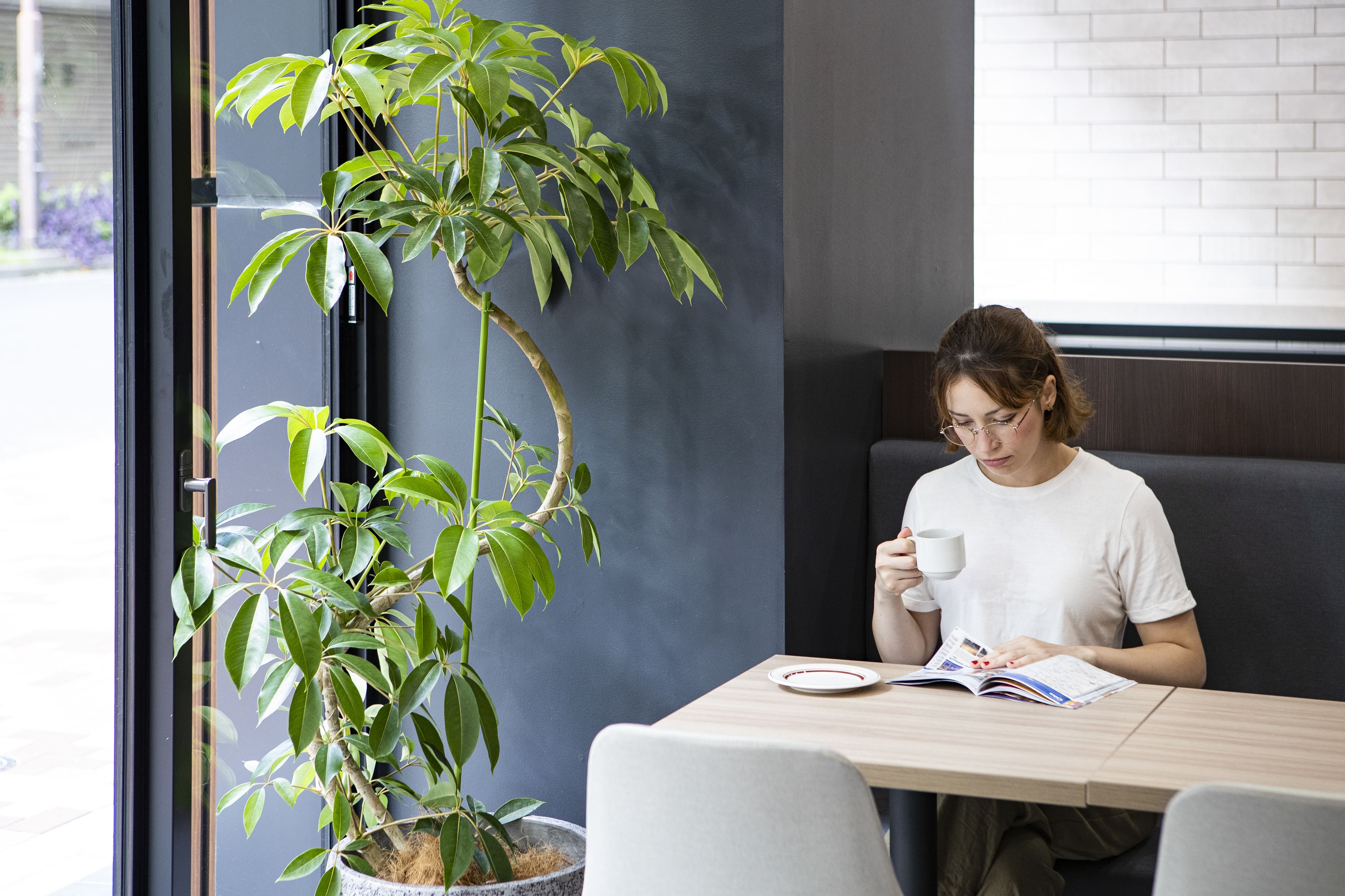 A person sitting at a table with a book and a cup, near a window with a plant.
